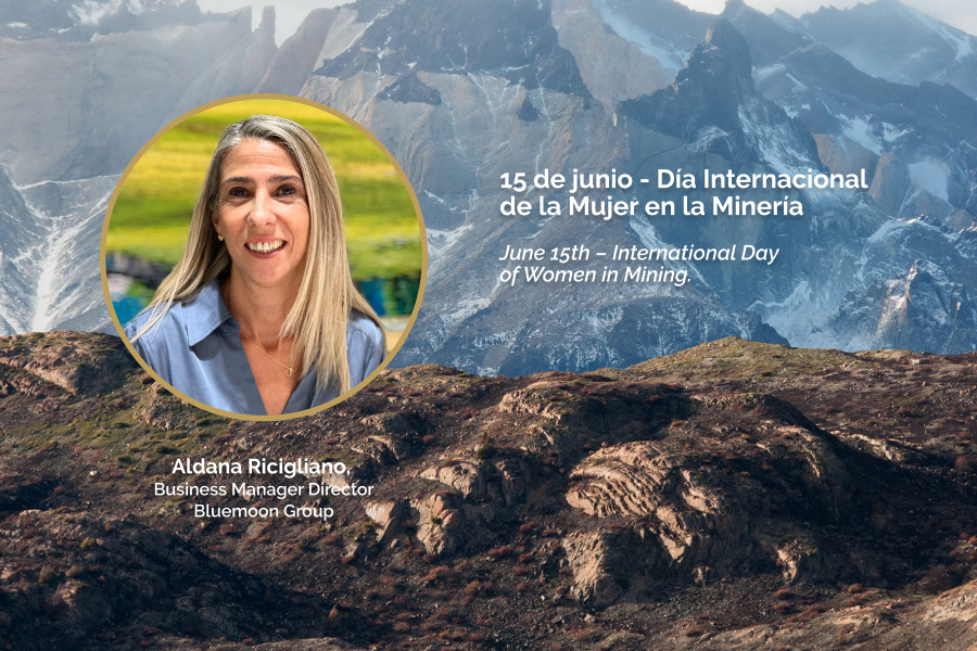 Novedad