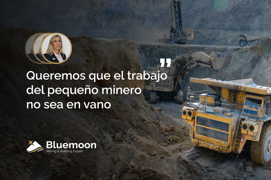 Novedad